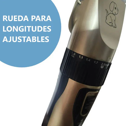 Imagen del producto 10